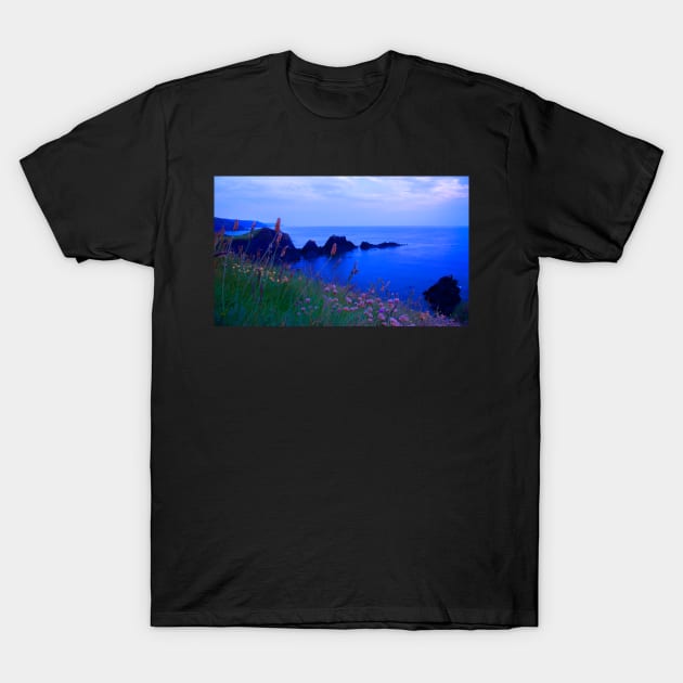 Hartland Headland T-Shirt by Graz-Photos